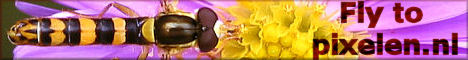 Photo website pixelen.nl
